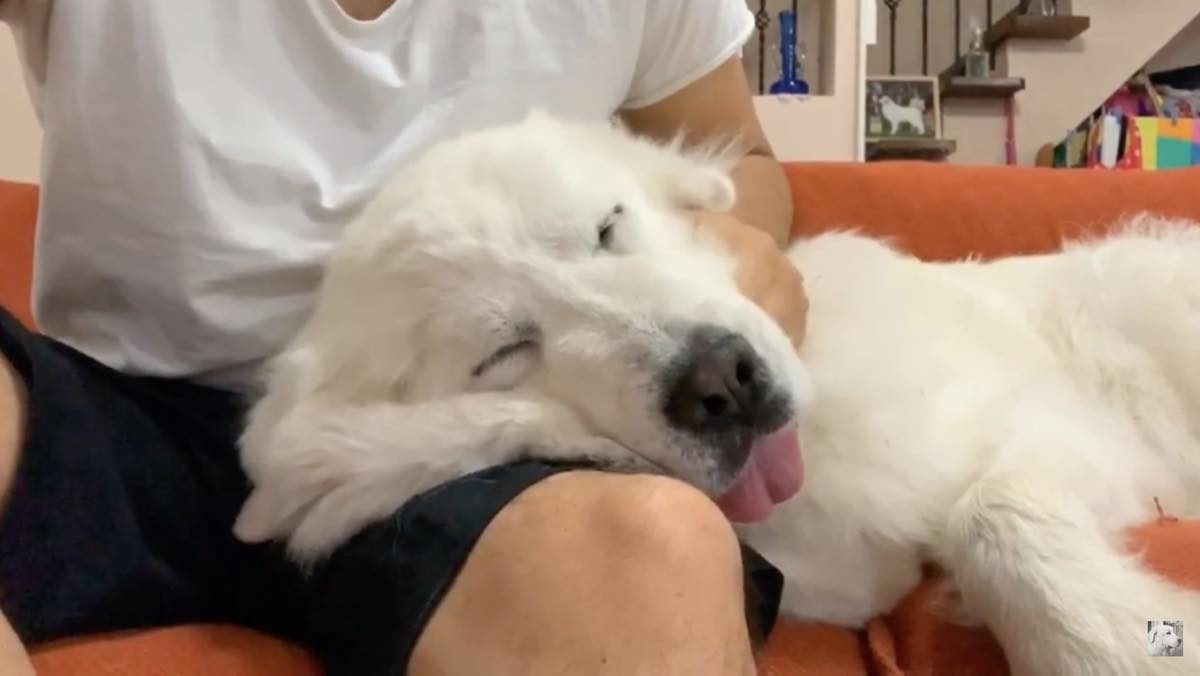 ほっこりはん